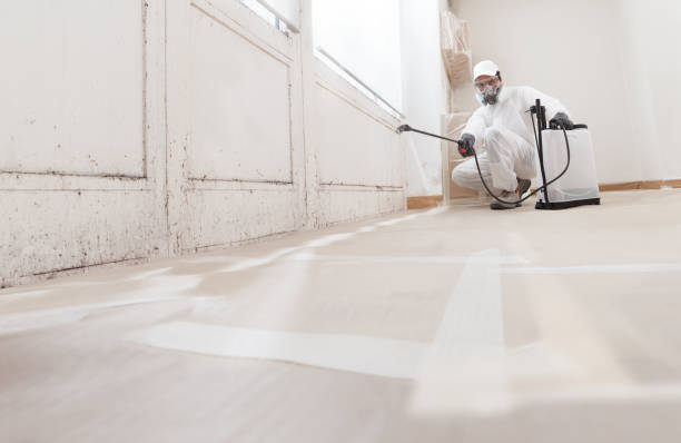 24/7 Emergency Commercial Mold Remediation experts in West Roxbury, MA